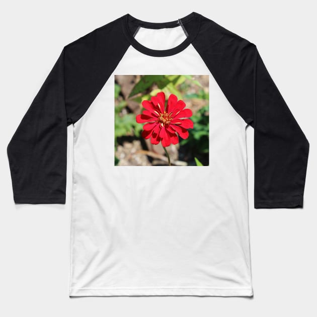 Single Red Flower Baseball T-Shirt by Cynthia48